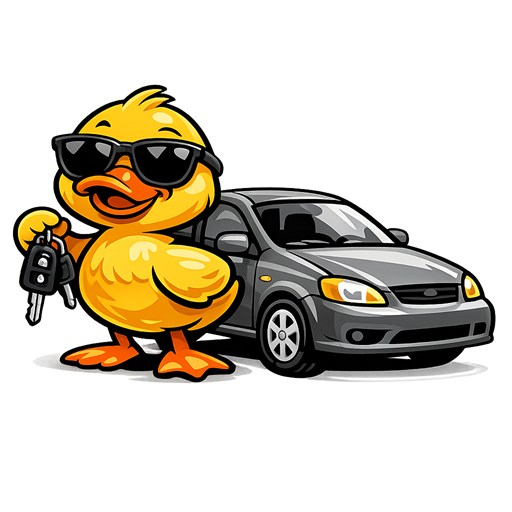 Young driver insurance